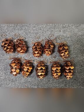 Set of 10 Metal Decorative Pinecone Christmas Ornaments - Brown & Gold Pier 1